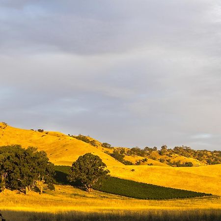 Dairyman'S Cottage Lyndoch Exterior foto