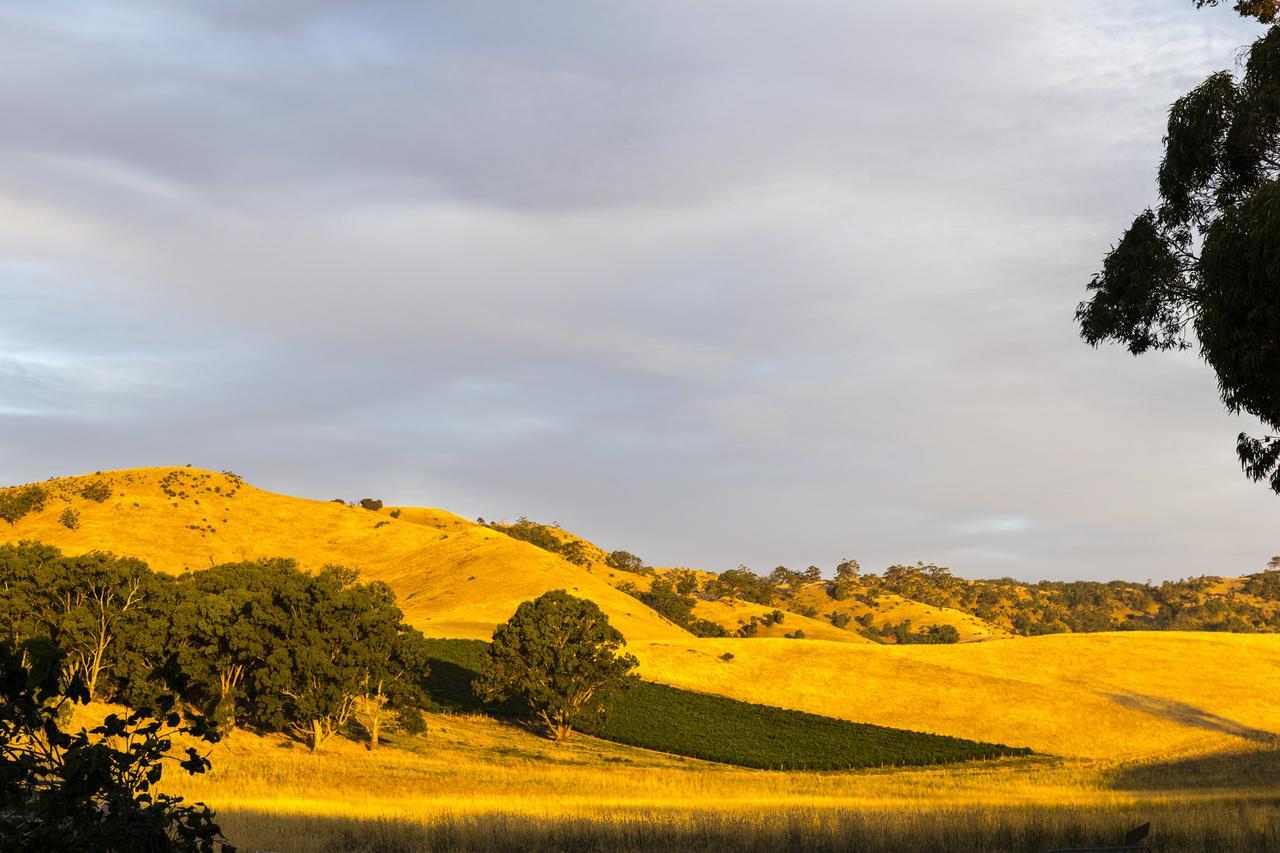 Dairyman'S Cottage Lyndoch Exterior foto
